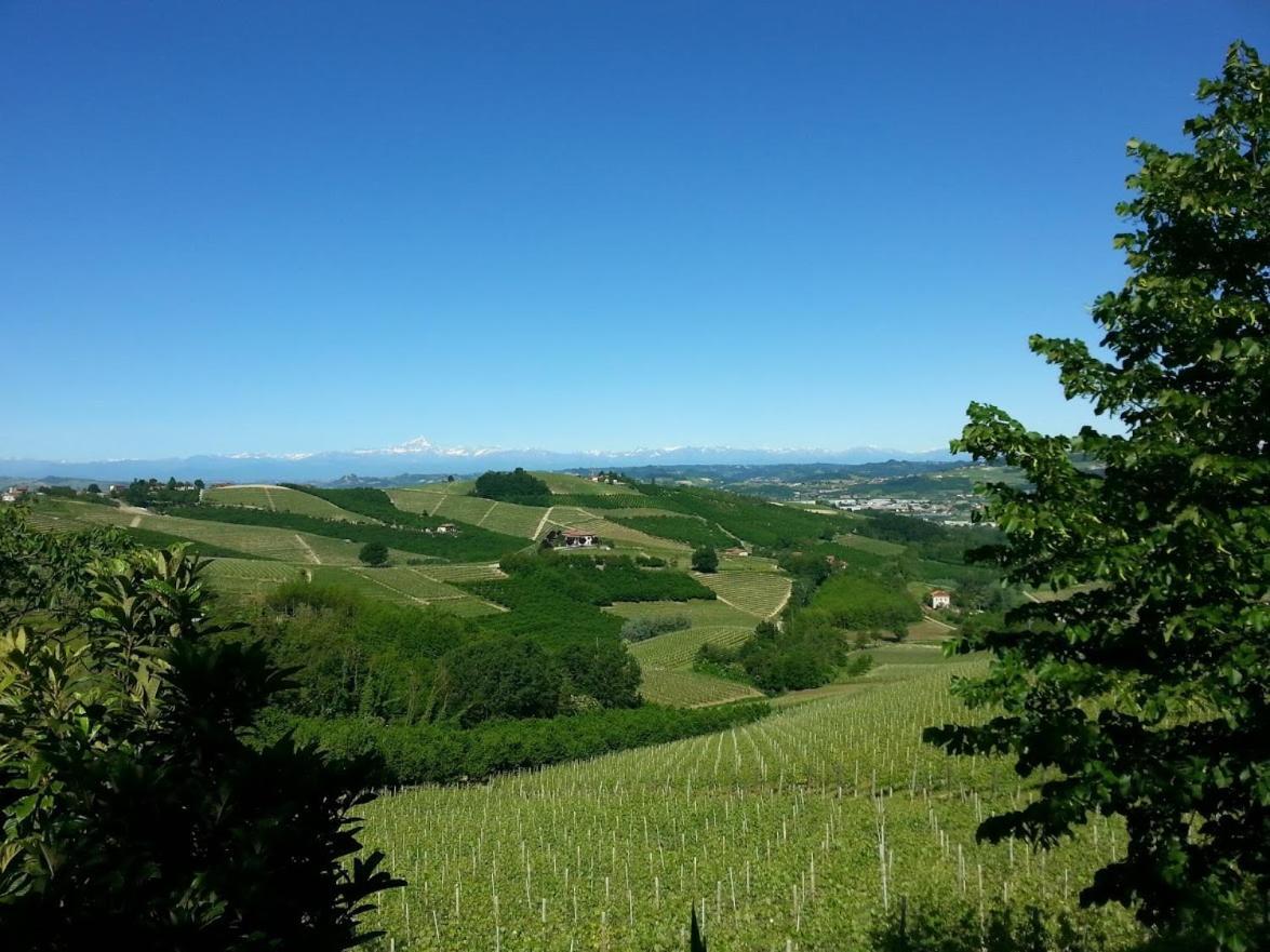 Ca Trifolera Barbaresco - Romantico Cascinale Con Antica Cantina Nel Cuore Delle Langhe - Degustazione Vini Nella Nostra Cantina Exterior foto