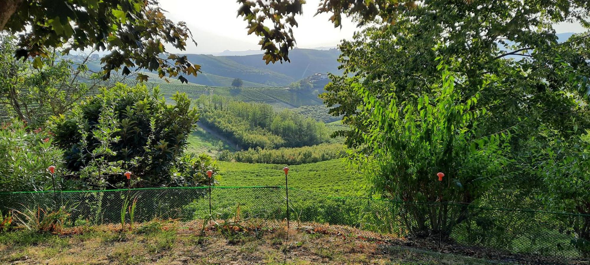 Ca Trifolera Barbaresco - Romantico Cascinale Con Antica Cantina Nel Cuore Delle Langhe - Degustazione Vini Nella Nostra Cantina Exterior foto