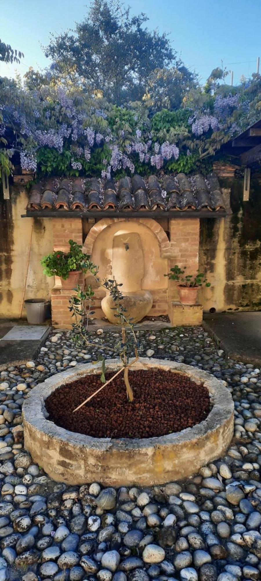 Ca Trifolera Barbaresco - Romantico Cascinale Con Antica Cantina Nel Cuore Delle Langhe - Degustazione Vini Nella Nostra Cantina Exterior foto