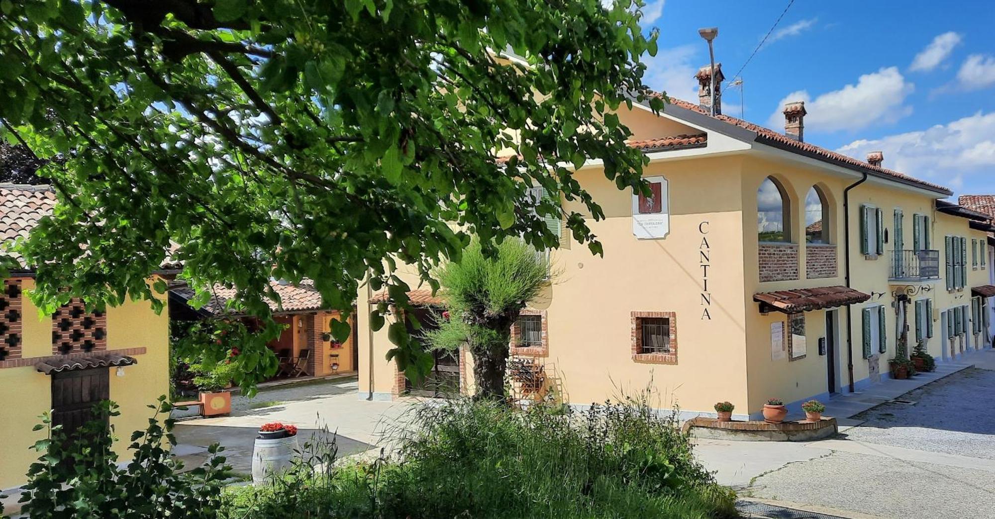 Ca Trifolera Barbaresco - Romantico Cascinale Con Antica Cantina Nel Cuore Delle Langhe - Degustazione Vini Nella Nostra Cantina Exterior foto